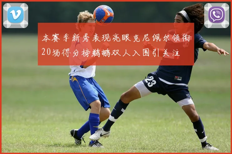 本赛季新秀表现亮眼克尼佩尔领衔20场得分榜鹈鹕双人入围引关注