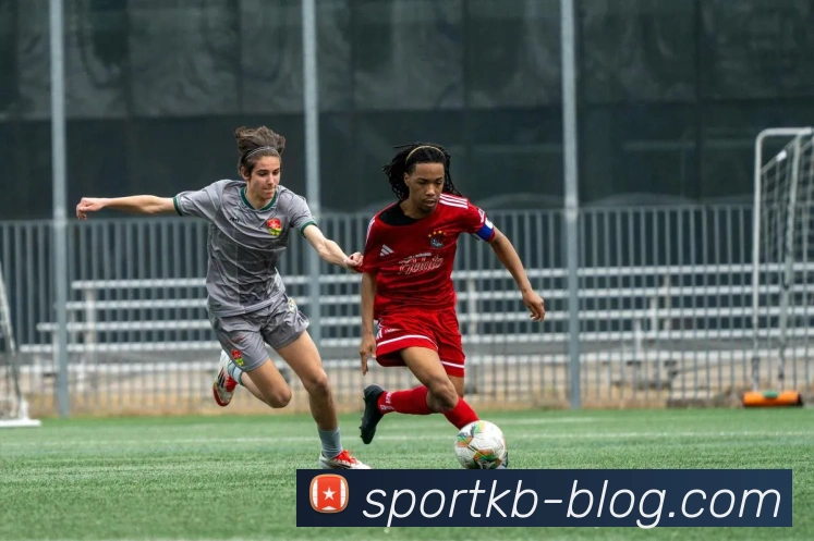 KB体育服务体系